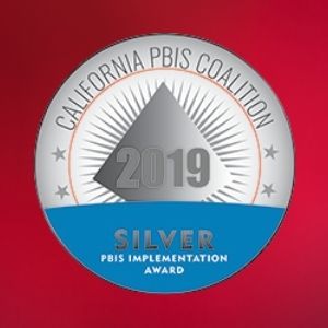 Silver Recognition